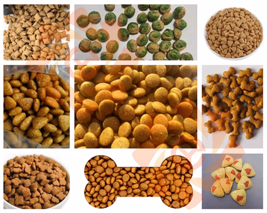High Output Manufacturing Pet Dry Dog Food Production Line Extruder Floating Fish Feed Pellet Making Processing Machine